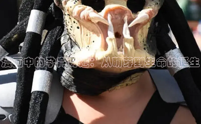 囧次元官方网站入口下载